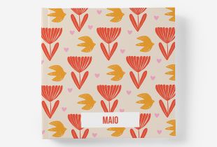 Álbum de Maio intro